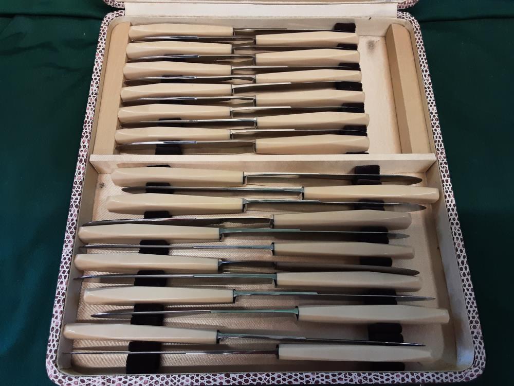 BOÎTE DE COUTEAUX 12 VIANDES 12 FROMAGES - MANCHE BAKELITE