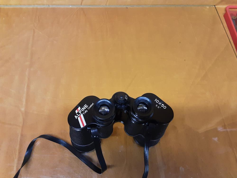 PAIRE DE JUMELLES ALPINE 10 X 50 AVEC ETUI CUIR