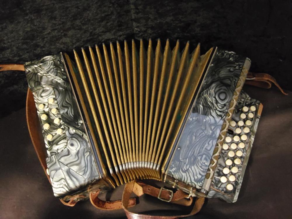 ACORDEON PM AVEC POCHETTE DE TRANSPORT BLEU