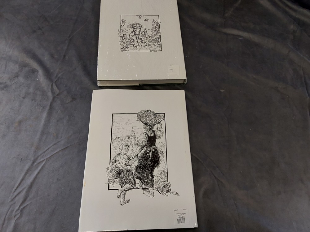 LIVRE VITICULTURE ALSACIENNE