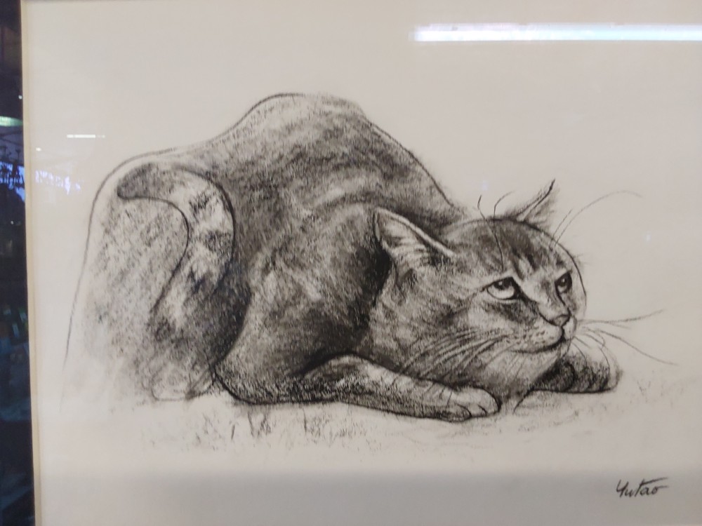 TABLEAU CRAYON CHAT GRIS, CADRE NOIR
