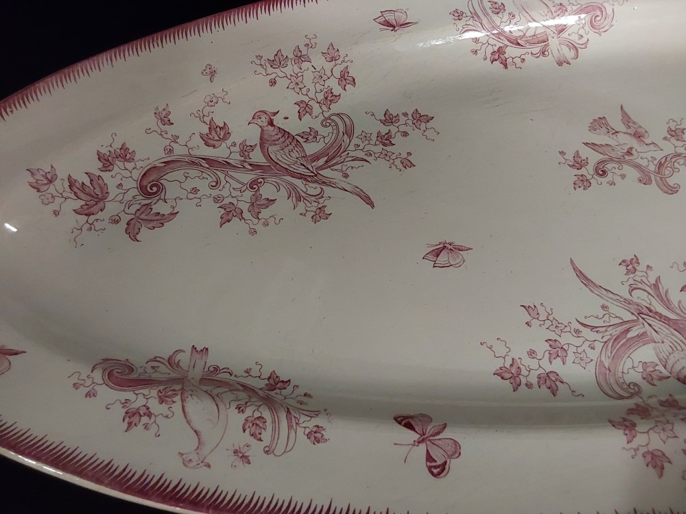 PLAT OVALE TGM FANTAISIE FF PEXONNE COLORI ROSE