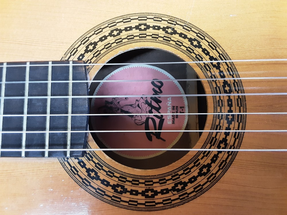 GUITARE RITMO AVEC HOUSSE, SUPPORT ET DIVERS ACCESSOIRES