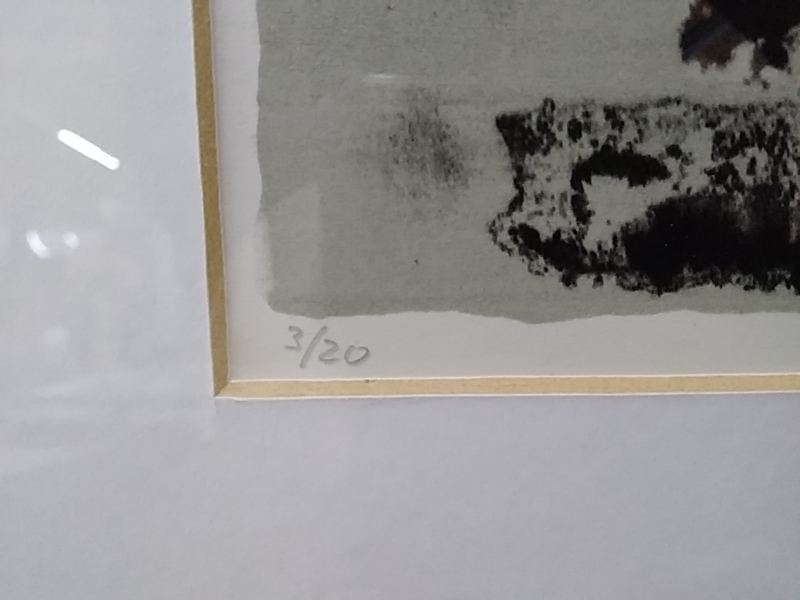 LITHOGRAPHIE SIGNÉE NUMÉROTÉ 79 X 62 CM