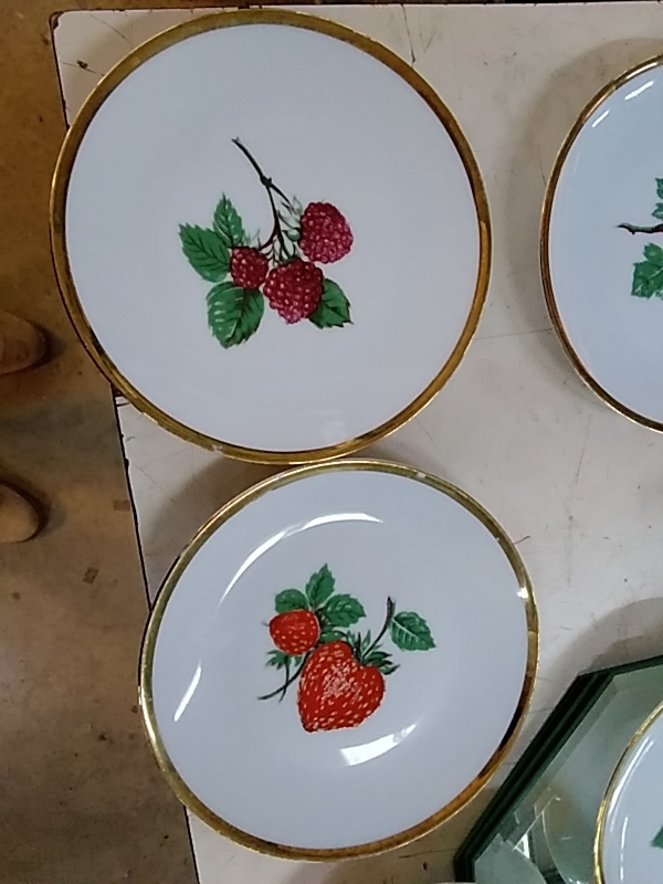 LOT DE 6 ASSIETTE DÉCO FRUITS SCHIRNDING DIAMÈTRE 17CM