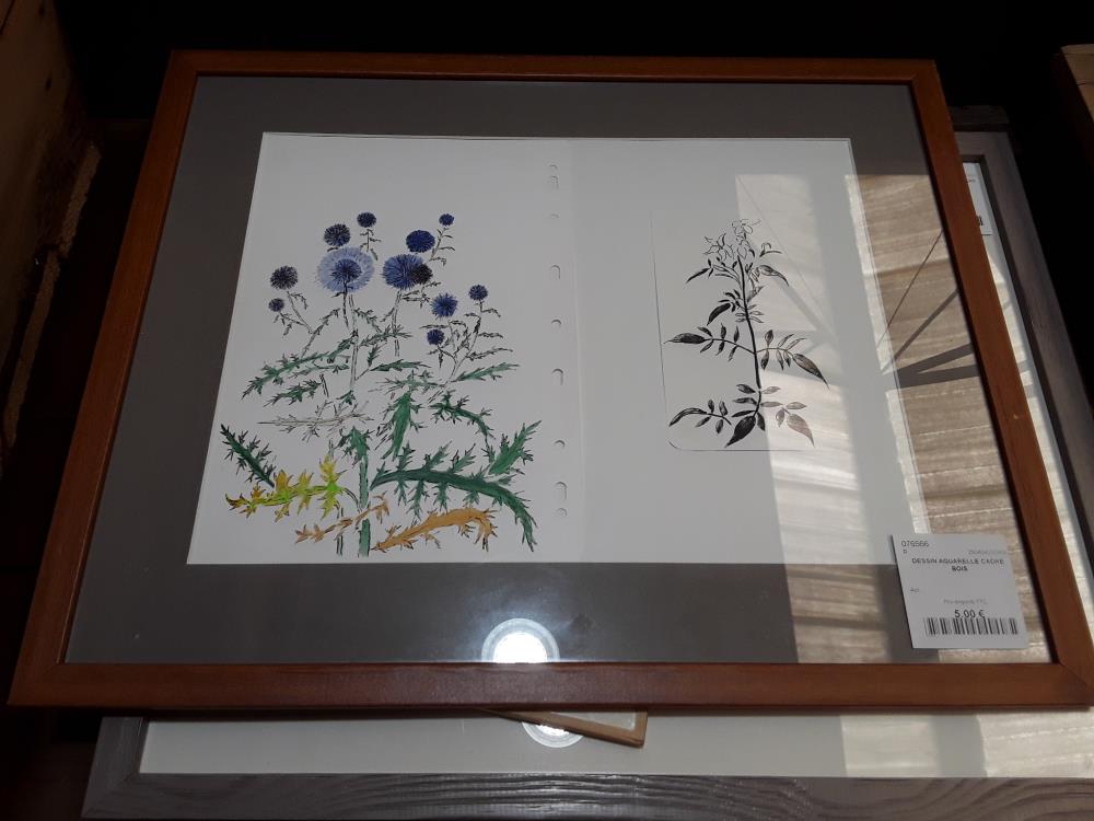 DESSIN AQUARELLE CADRE BOIS