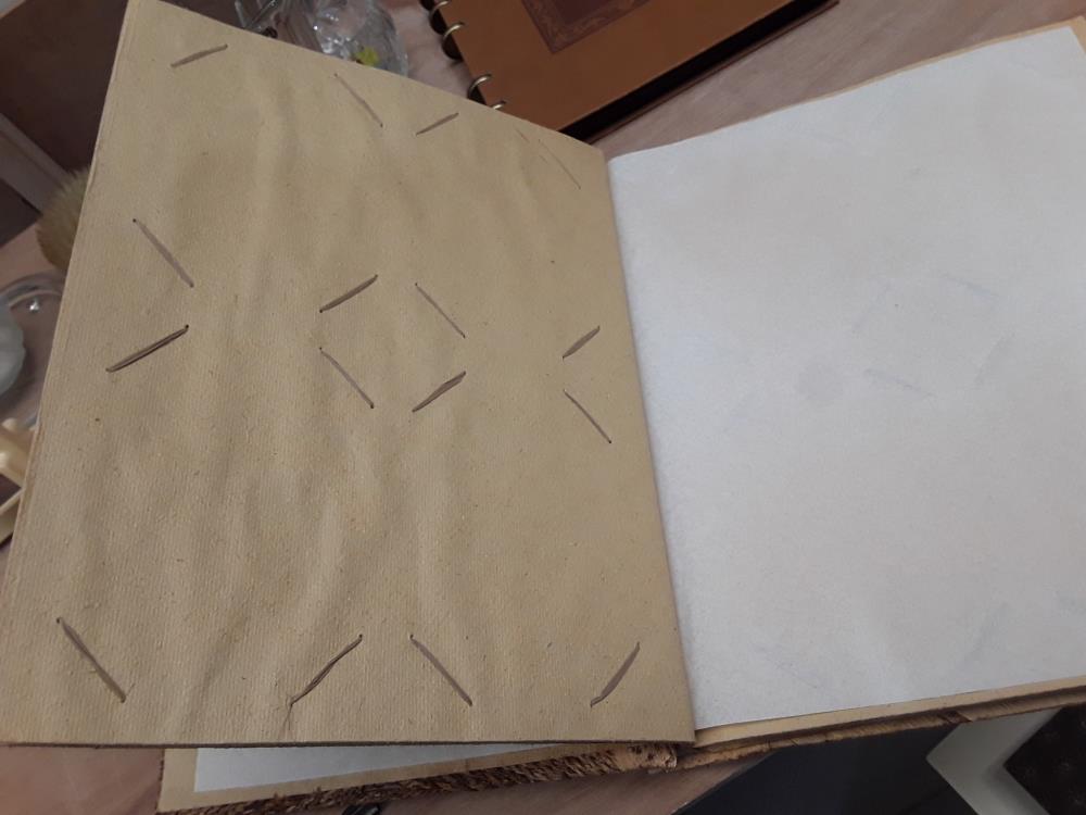 ALBUM PHOTO ANNÉE 60