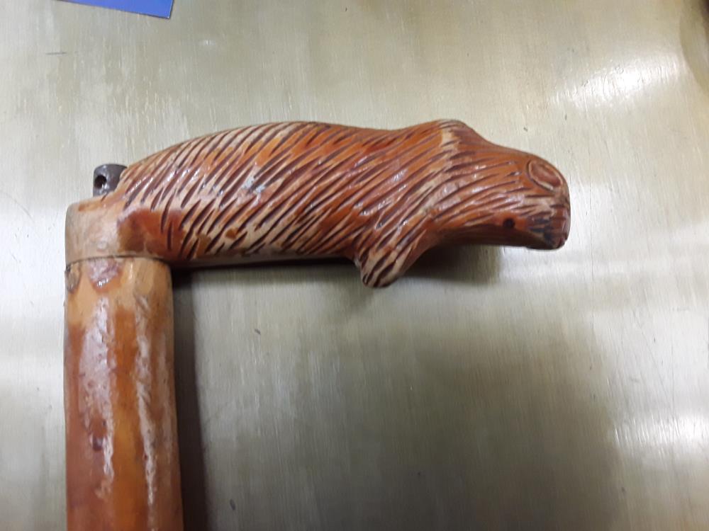 CANNE DÉCORATION MARMOTTE FIN 19È