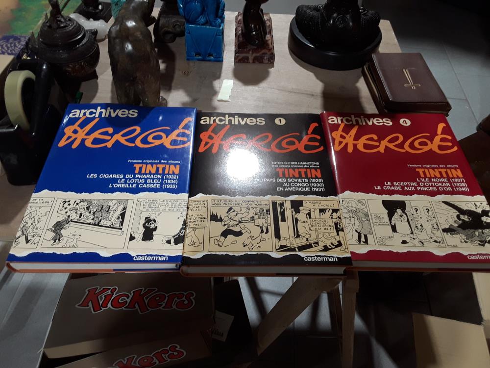 SERIE DE 3 LIVRES TINTIN (62)