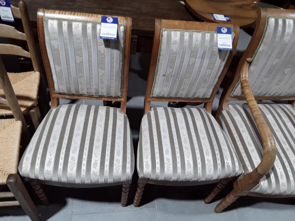 CHAISE VELOURS LIGNÉ STYLE DIRECTOIRE ORME BLANC