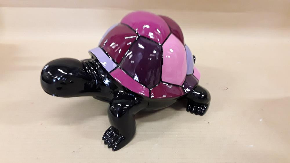 TORTUE MULTICOLORE