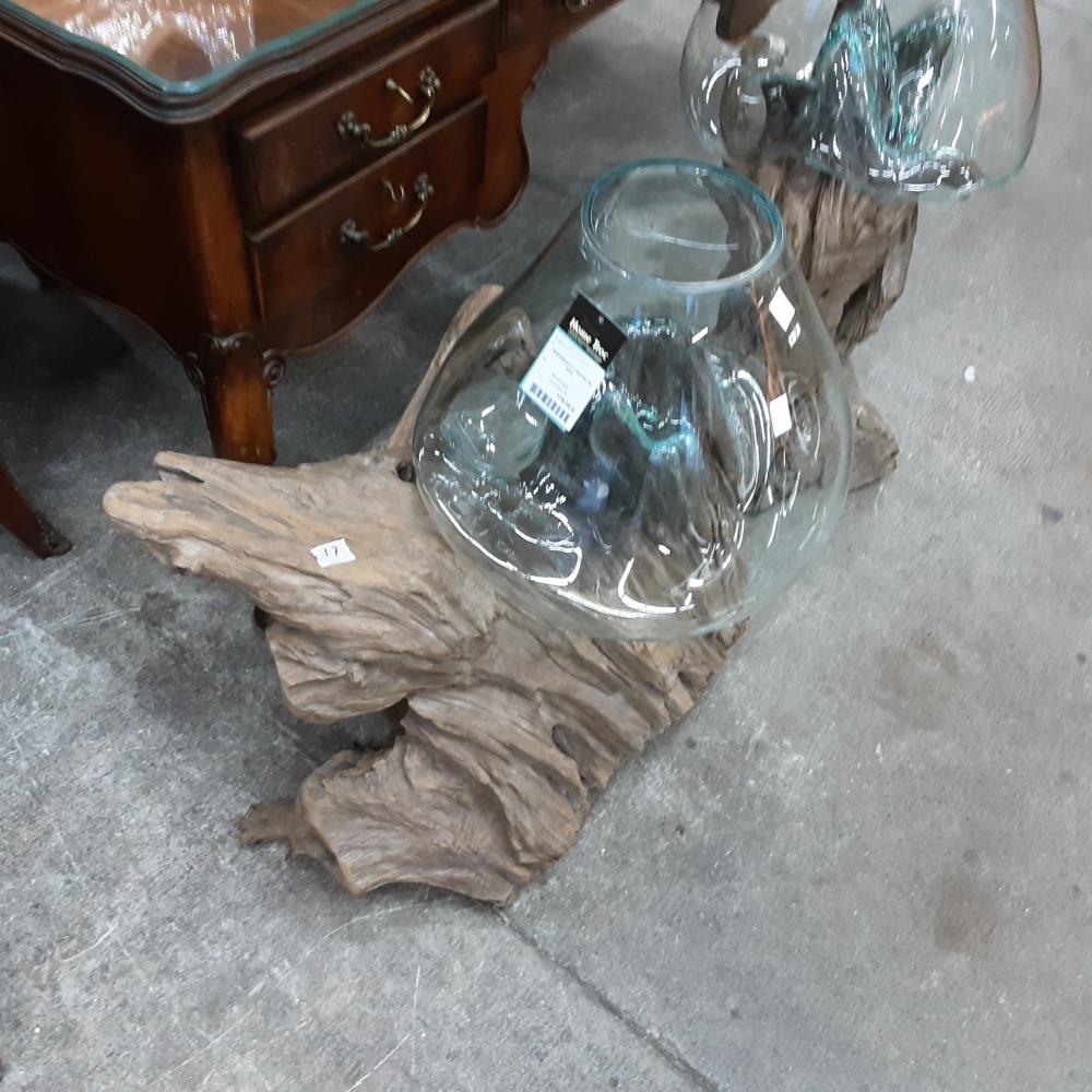 TERRARIUM N°1 RACINE DE TECK