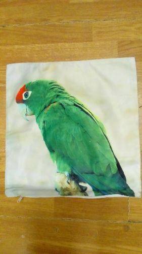 PACK COUSSIN PERROQUET VERT+ GARNITURE  40 X 40