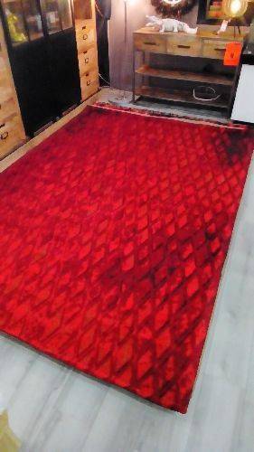 TAPIS EVRY 06-03RED DESTOCK 200 X 290 ROUGE