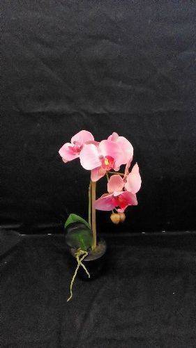 ORCHIDÉE ROSE EN POT 35CM (2058210388799)