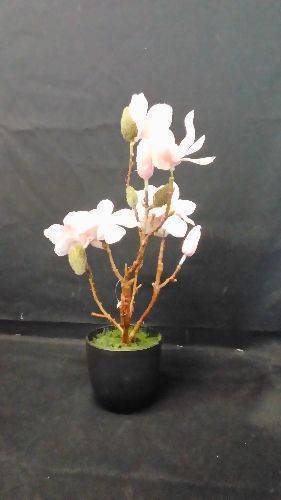 FLEURS BLANCHE EN POT (4027234915098)