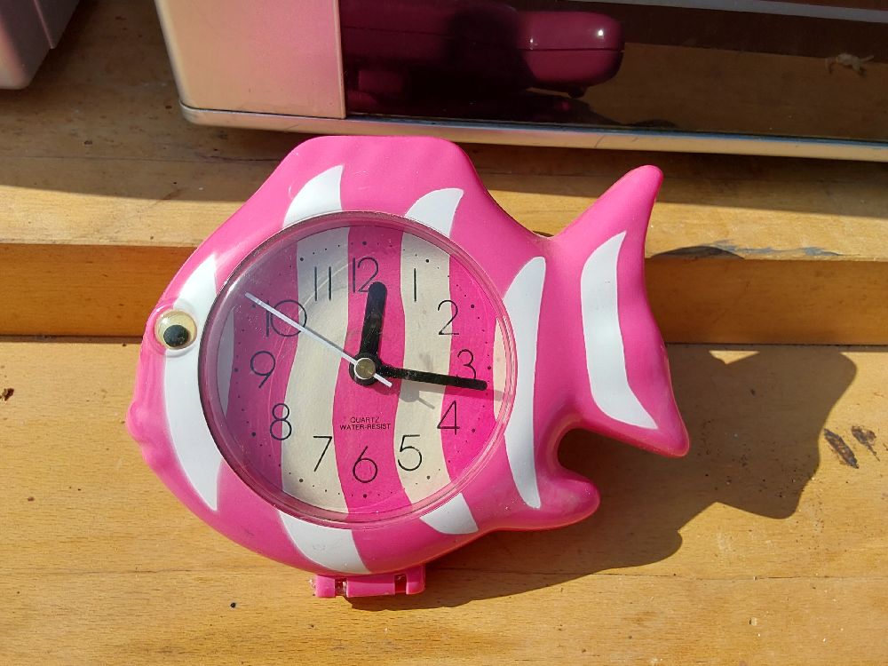 MONTRE POISSON S DE BAIN