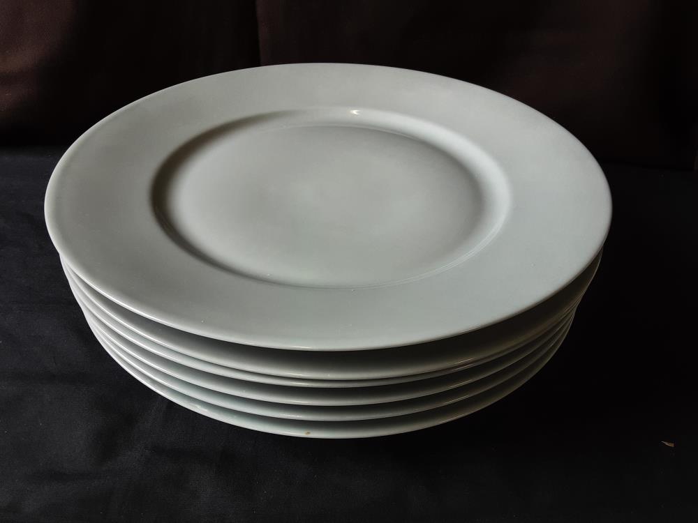 LOT E 6 ASSIETTES GRISES TGM LIMOGES 