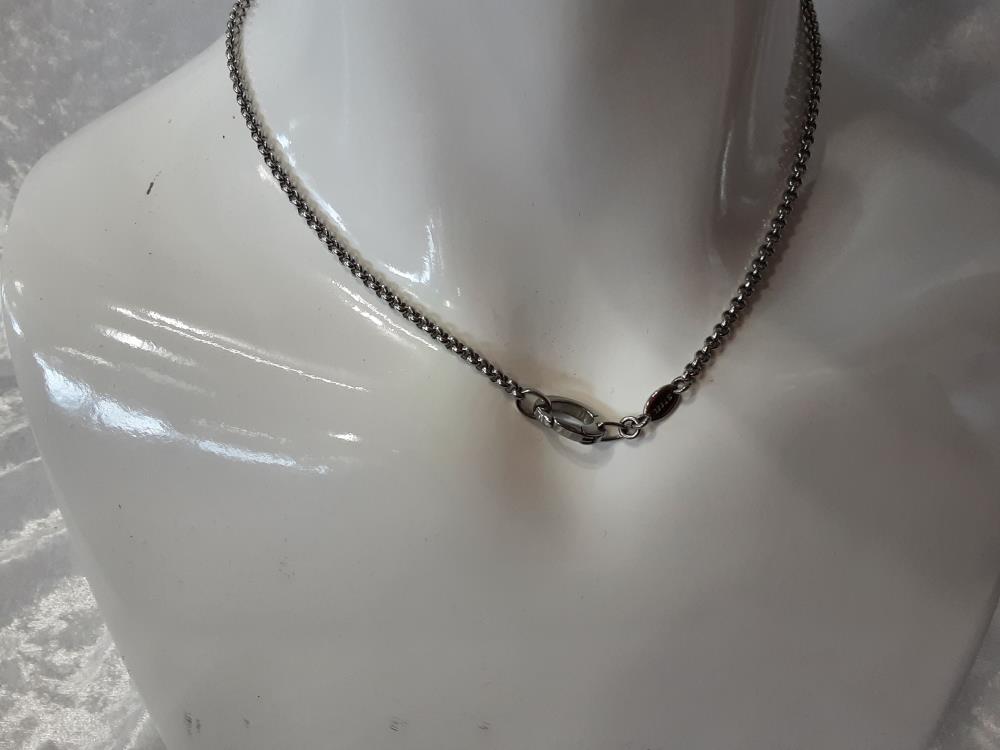 COLLIER FOSSIL