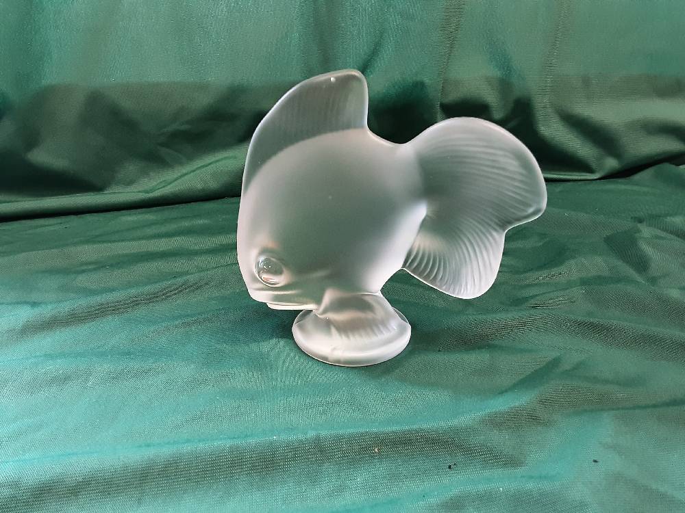 SUJET POISSON OPAQUE