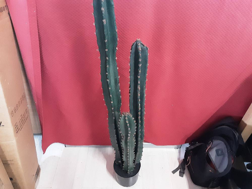CACTUS ARTIFICIEL H.120CM (844-269V01GN) 2ÈME CHOIX