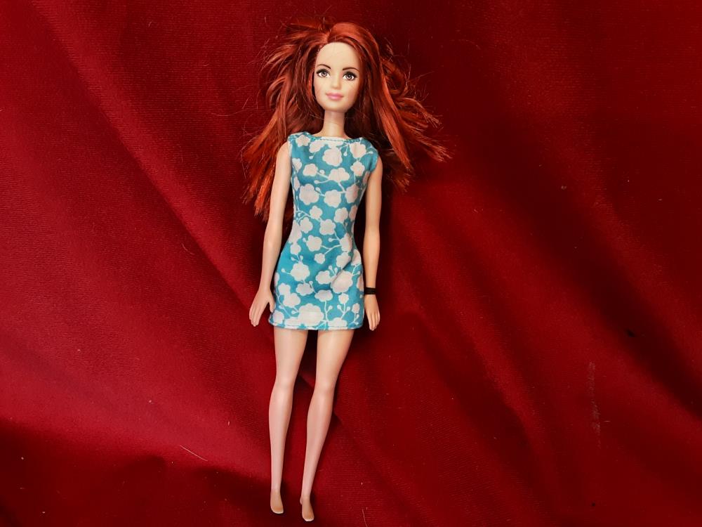 POUPÉE BARBIE FJF18