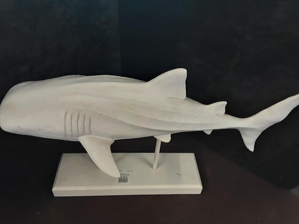REQUIN BLANC EN RÉSINE SUR SOCLE
