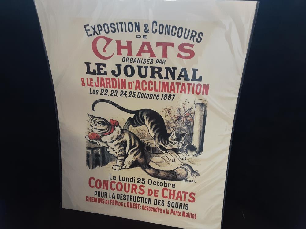 AFFICHE CHATS EXPO (40X50)