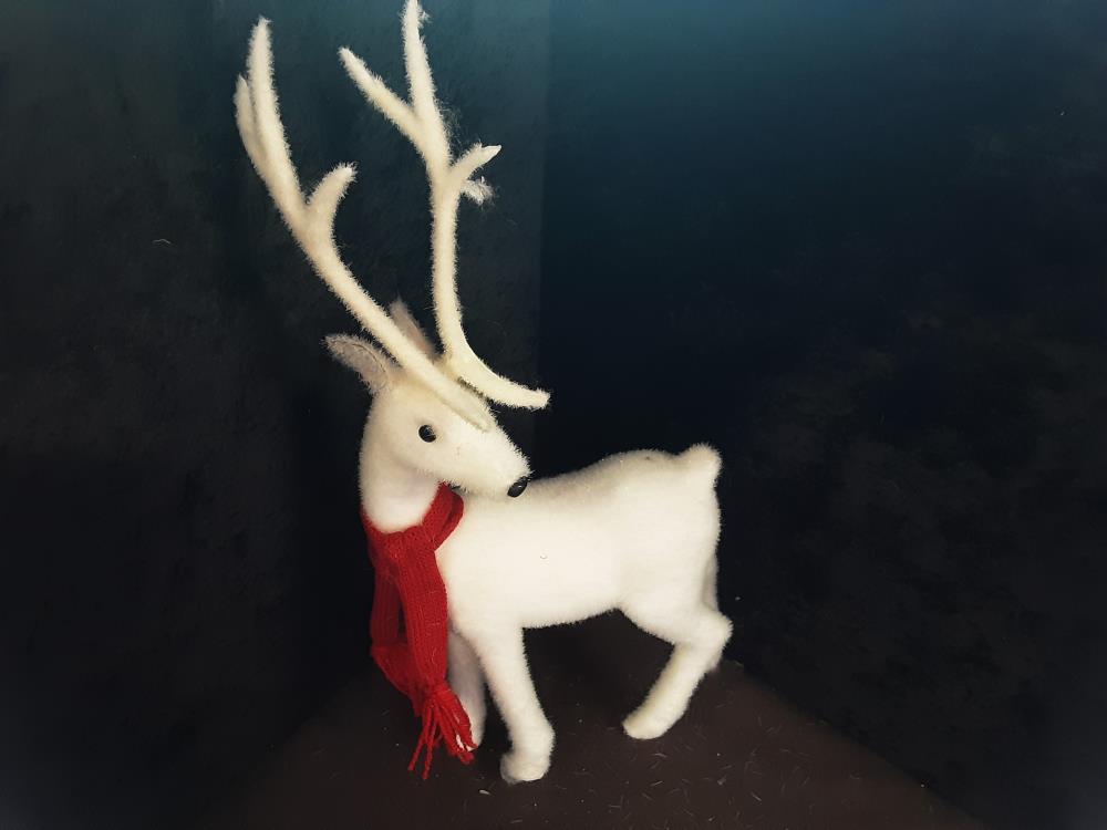 CERF BLANC 