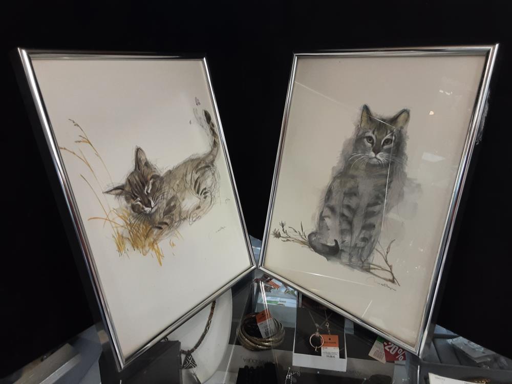 TABLEAU DESSIN CRAYON CHAT SIGNÉ - CADRE ARGENTÉ 
