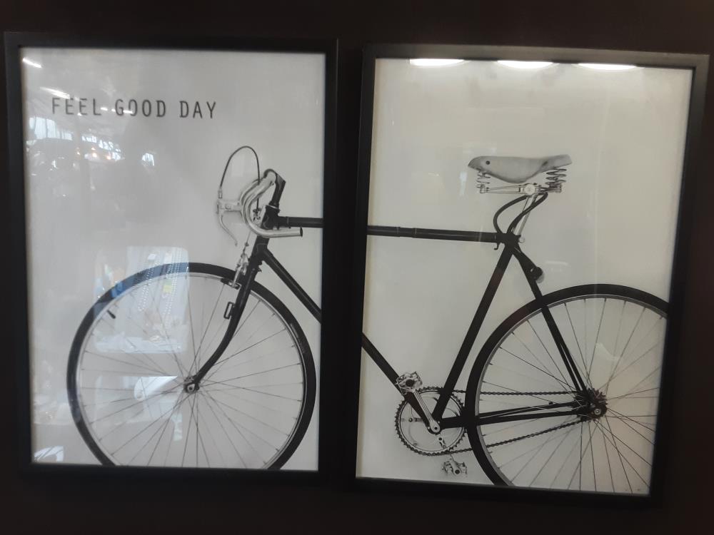 TABLEAUX DIPTYQUE MOTIF VELO N-B 