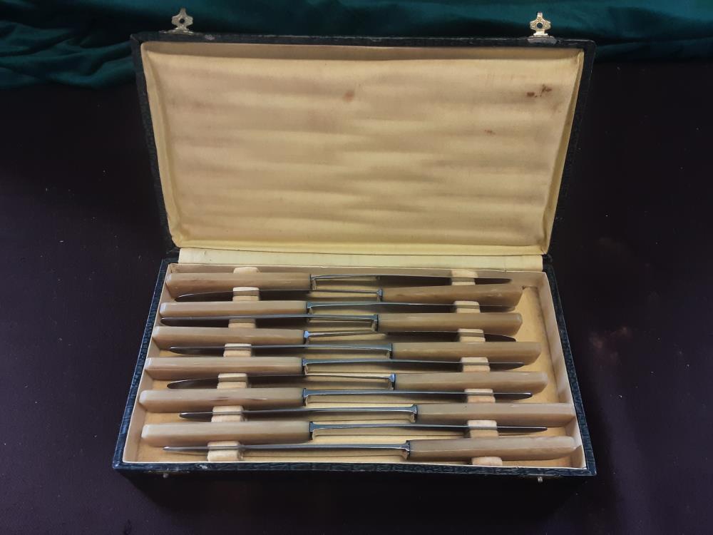 LOT DE 12 COUTEAUX CORNE DANS COFFRET 