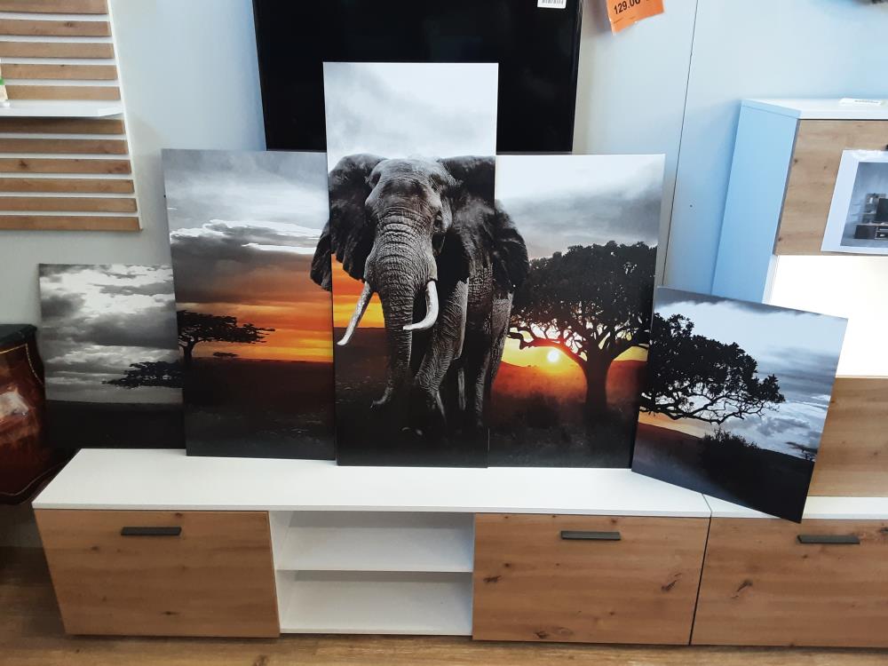 TABLEAU 5 PIÈCES ÉLÉPHANT