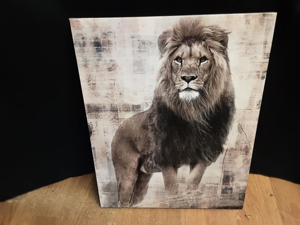 TABLEAU IMAGE LION