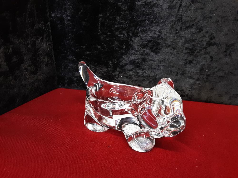 ANIMAL CRISTAL DE VANNE