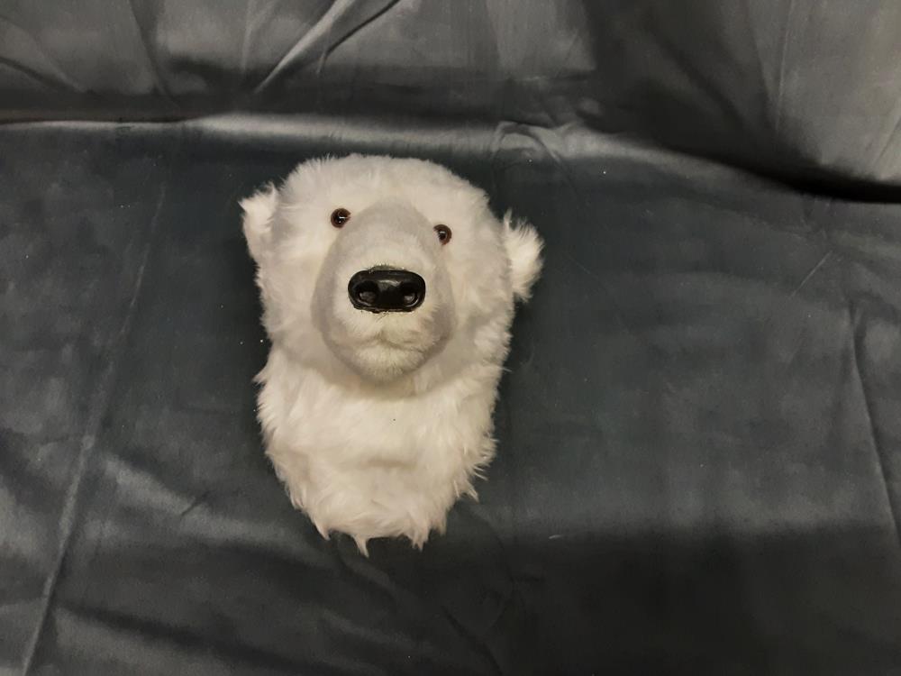 TETE OURS BLANC PELUCHE 