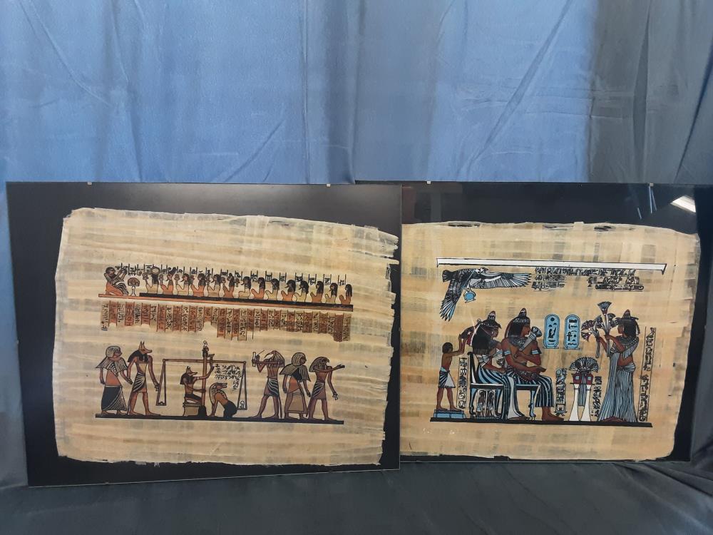 TABLEAU PAPYRUS SOUS VERRE