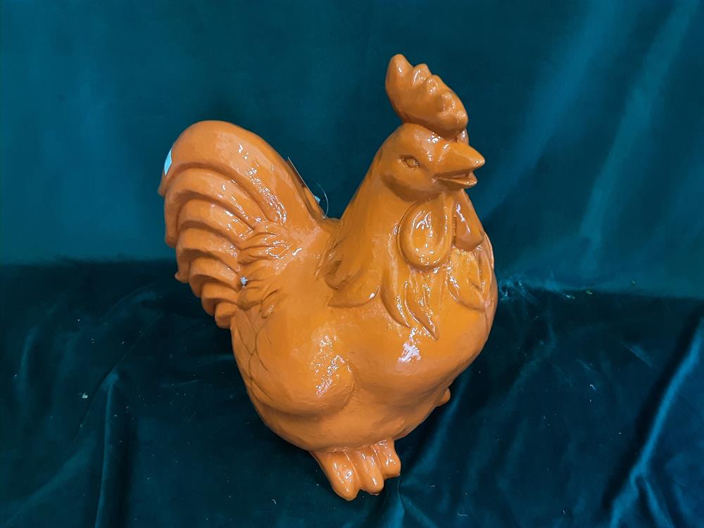 COQ 50CM
