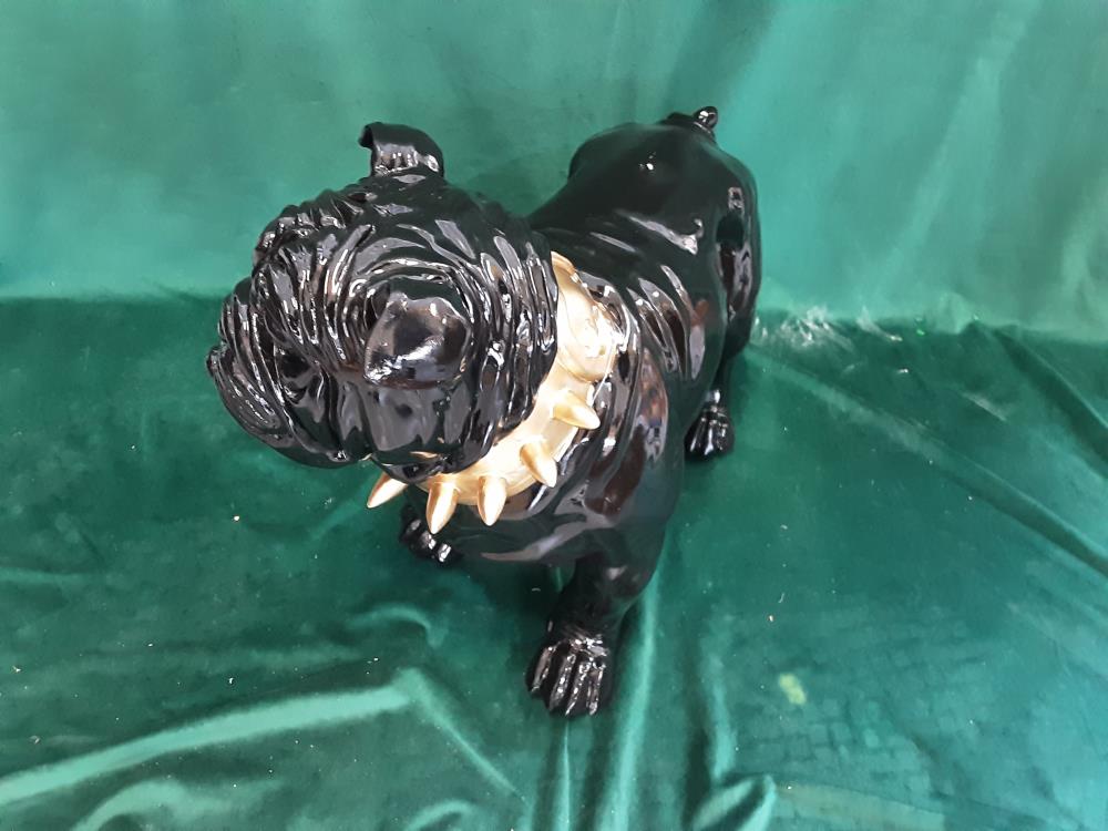 BULL COLLIER DEBOUT MM 50CM