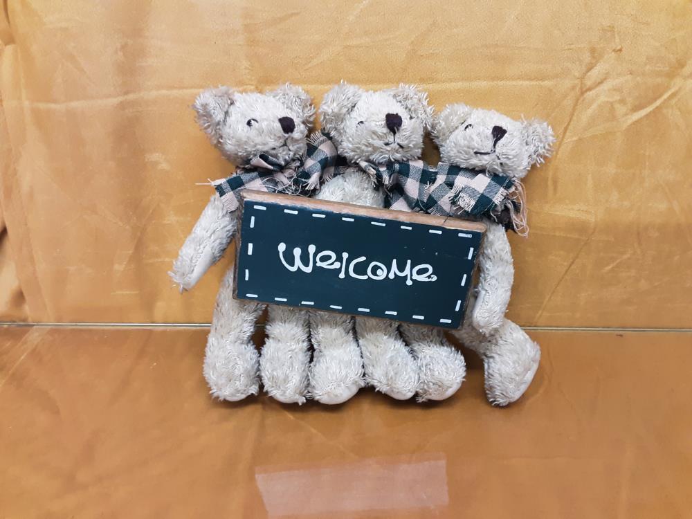 LOT 3 OURSONS WELCOME