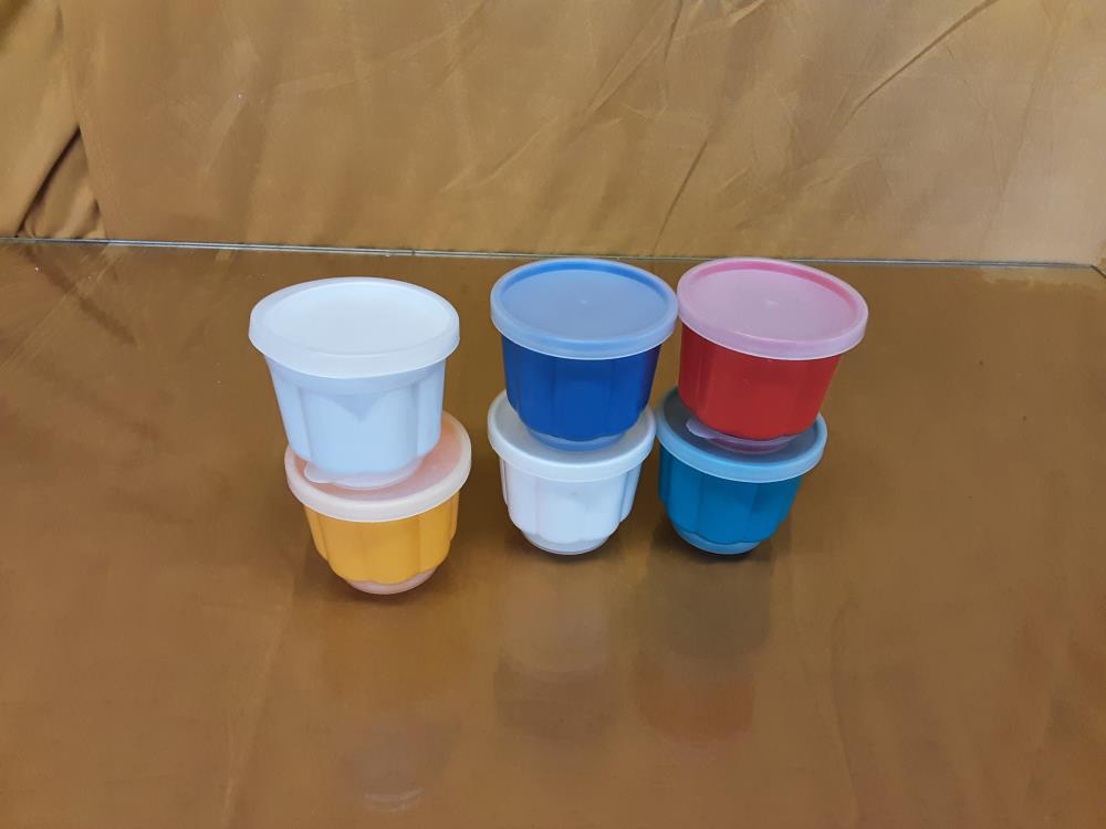 LOT DE 6 PETITS MOULES MULTICOLORES PLASTIQUES