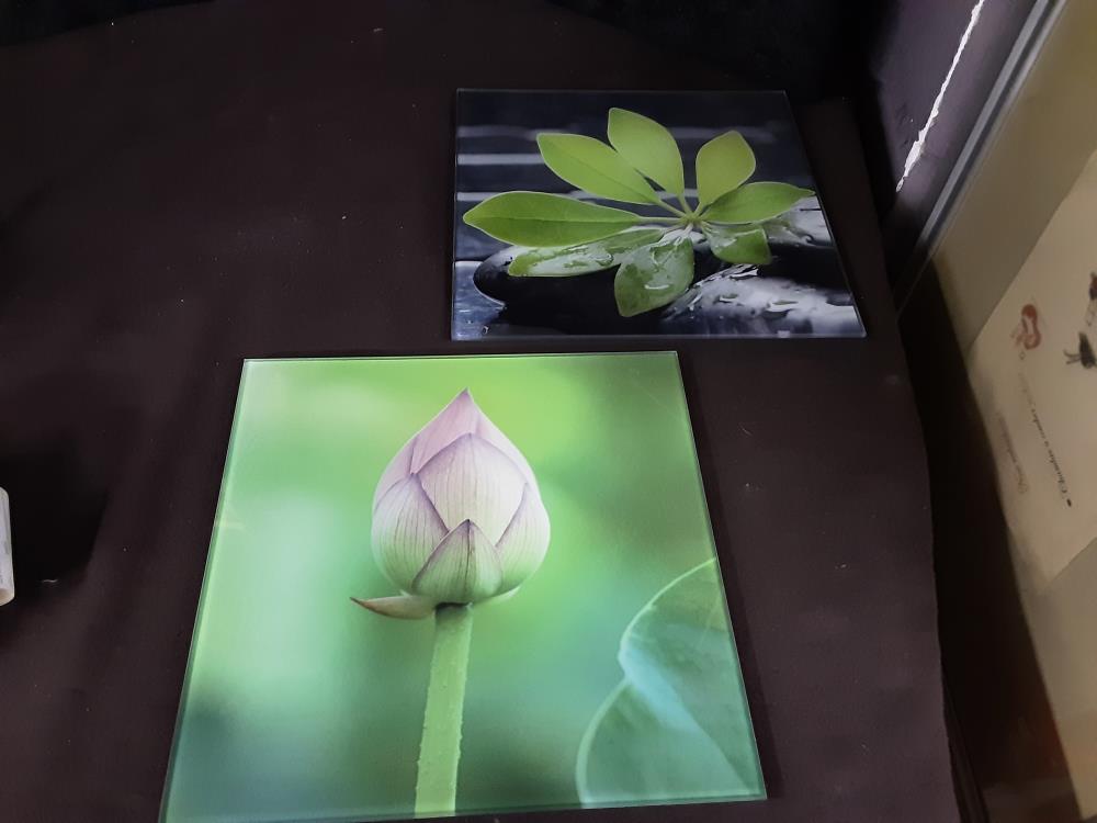 TABLEAU CARRE DÉCORATION FLEUR SUR VERRE