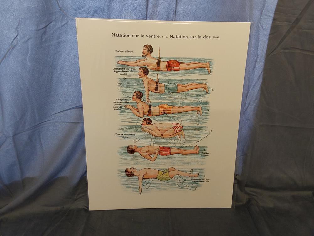 AFFICHE NATATION SUR LE VENTRE SUR LE DOS (40X50)