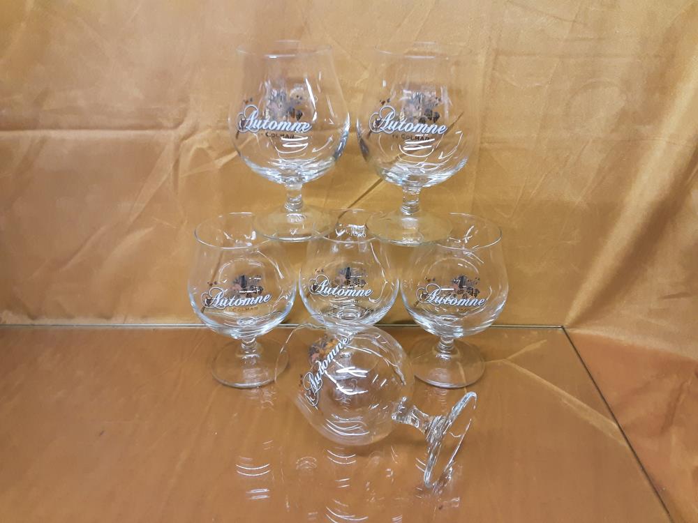 LOT DE 6 VERRES A BIERE AUTOMNE 25 CL