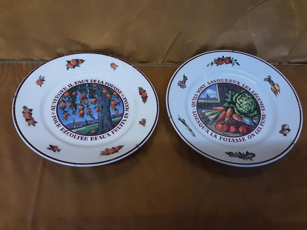 ASSIETTE LUNEVILLE HANSI DECOR VERGER