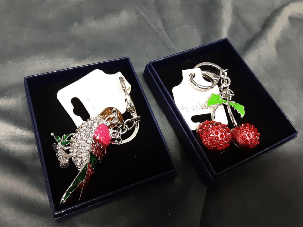 PORTE CLÉS DIFFERENTS MODÈLES