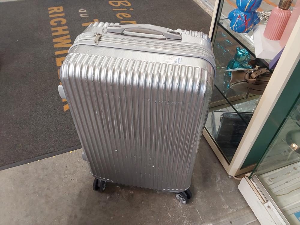 VALISE WELLTRAVEL GRISE