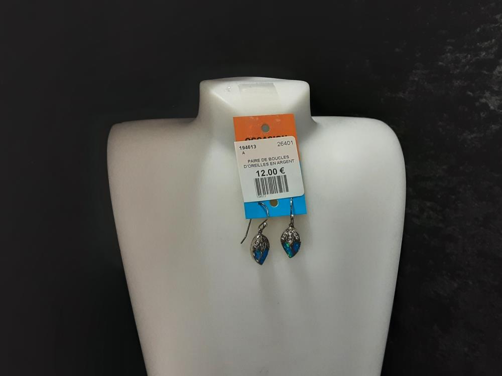 PAIRE DE BOUCLES D'OREILLES EN ARGENT 