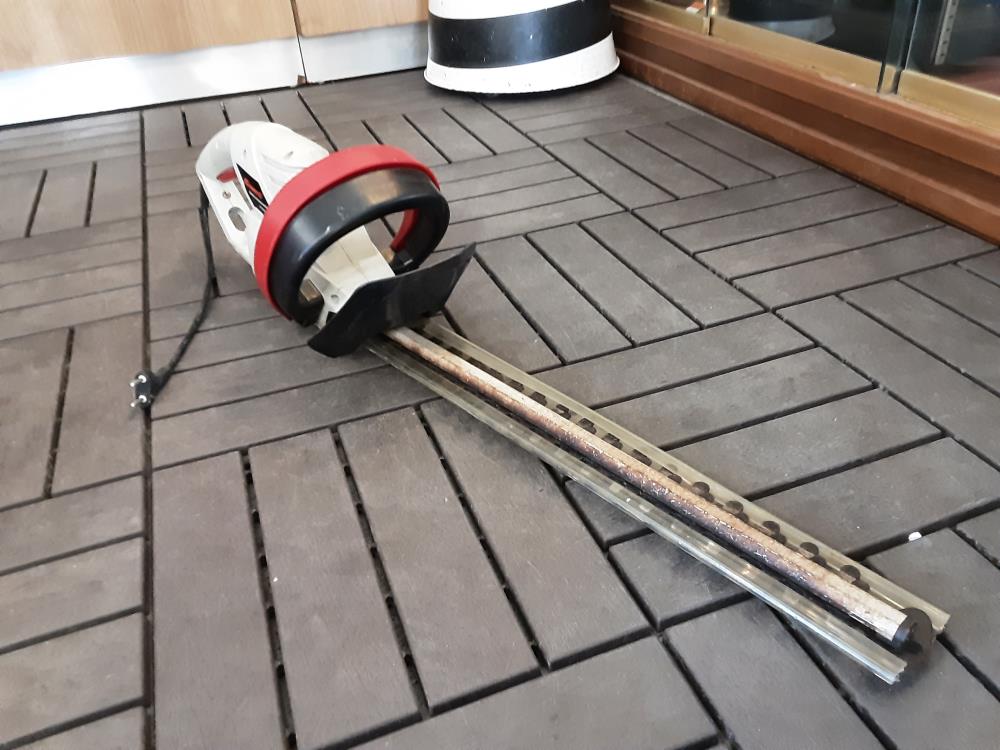 Taille Haie Power G 550W