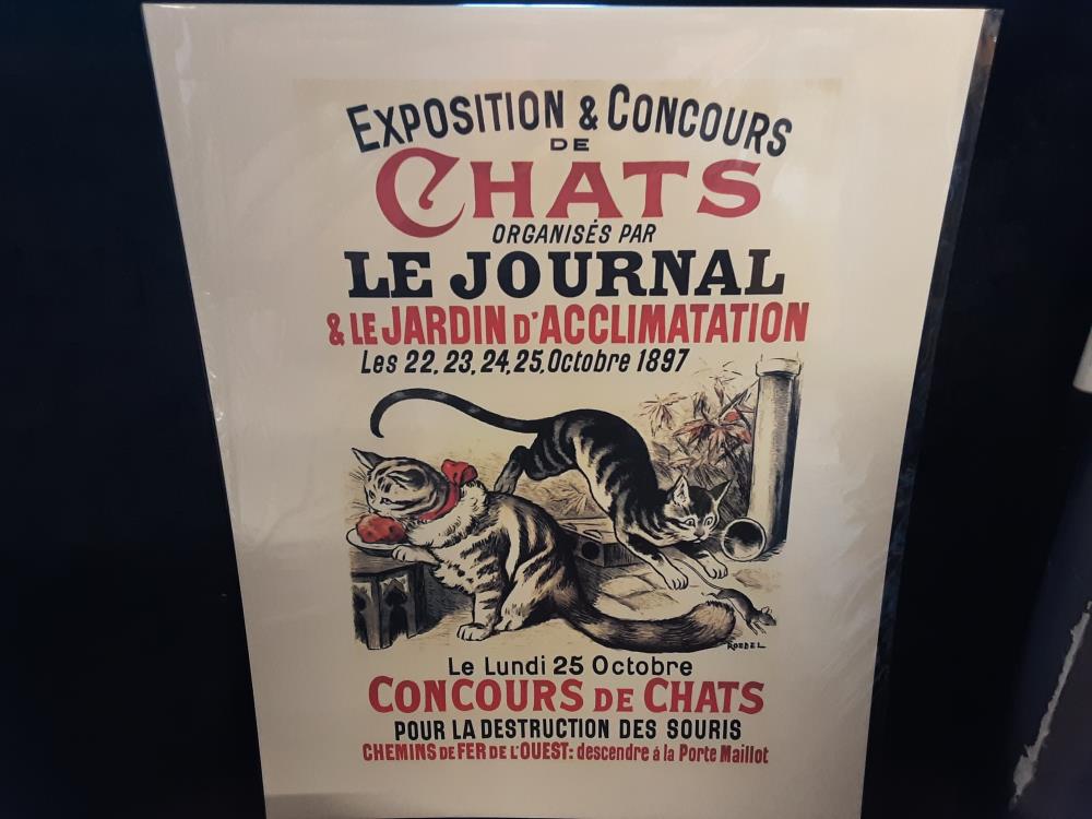 Affiche Chats Expo (40X50)